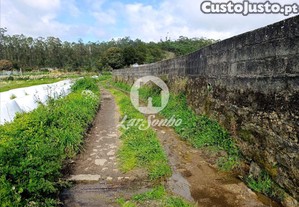 imagem_11