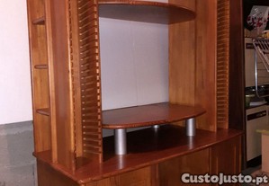 imagem_3
