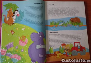 imagem_2
