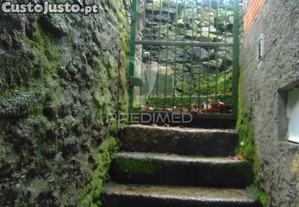 imagem_13