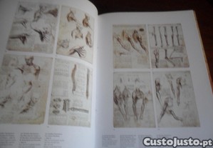 imagem_9