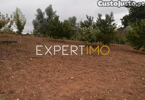 imagem_31