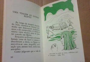 imagem_5