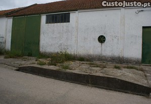 imagem_11