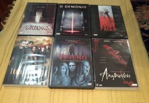 imagem_8