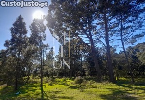 imagem_24
