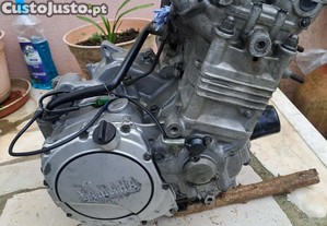 Motor Yamaha FZR 1000