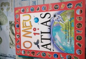 imagem_2