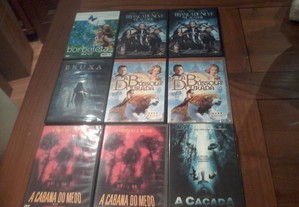 imagem_6