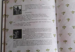 imagem_8
