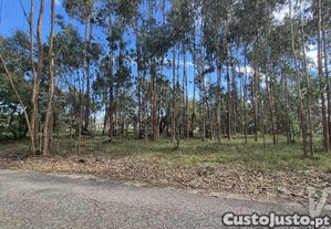 Terreno para construção em Pedreiras