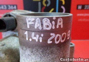 imagem_1