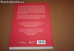 imagem_3