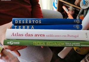 imagem_6