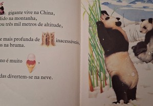 imagem_2