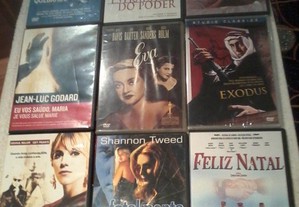 imagem_8