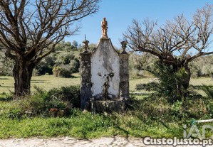 imagem_20