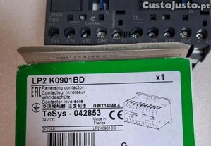 imagem_3