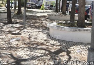 imagem_14