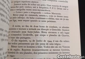 imagem_7