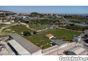 imagem_1