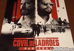 imagem_7