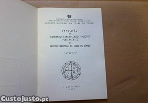 imagem_3