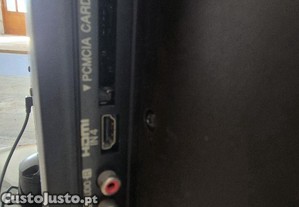 imagem_7