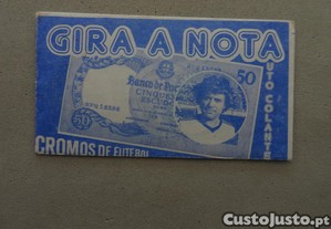 imagem_1