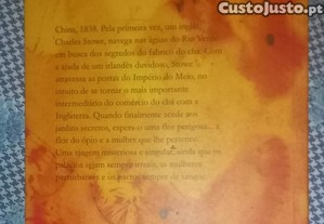 imagem_4