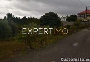 imagem_7