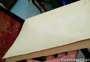 imagem_8