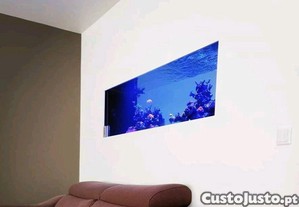 imagem_7