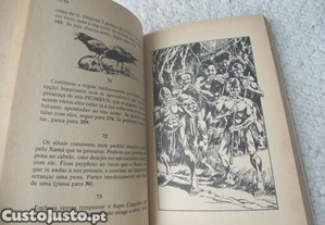 imagem_6
