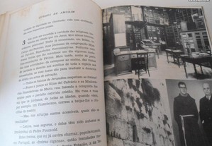 imagem_7