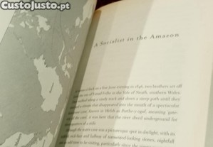 imagem_3