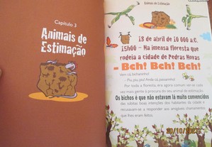 imagem_8
