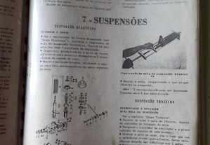 imagem_5