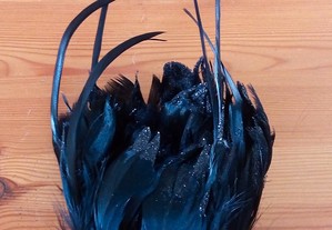 Acessório de cabelo com plumas pretas