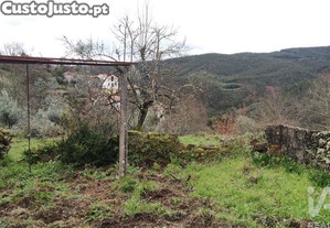 imagem_24
