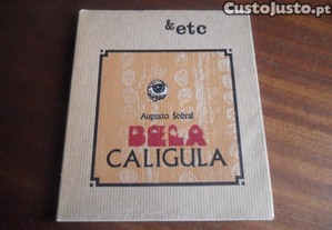 imagem_1