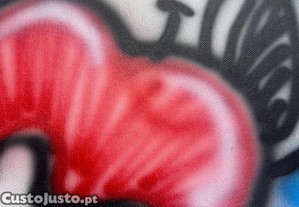 imagem_6