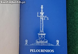 imagem_1