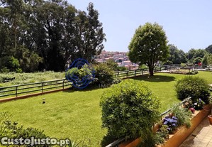 imagem_21