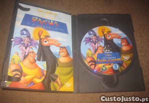 imagem_3