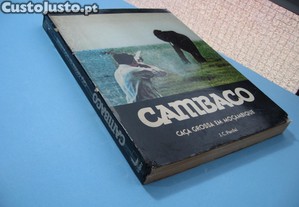 imagem_7