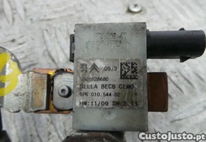 imagem_3