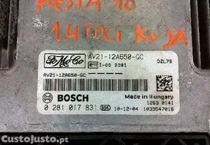 imagem_2