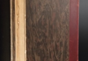 imagem_2