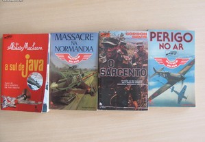 imagem_2